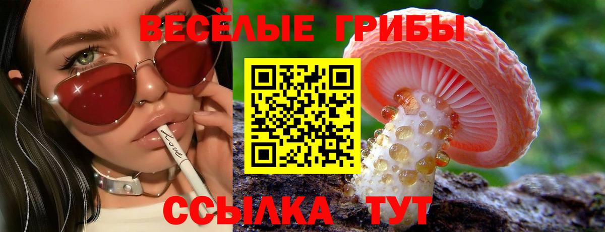 Галлюциногенные грибы Cubensis Черногорск